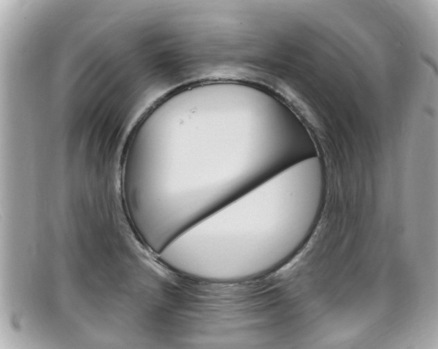X0000099321232200805020746