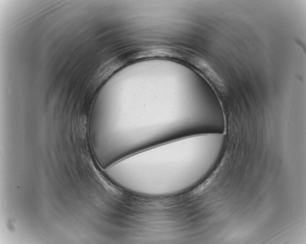 X0000099321233200805020746