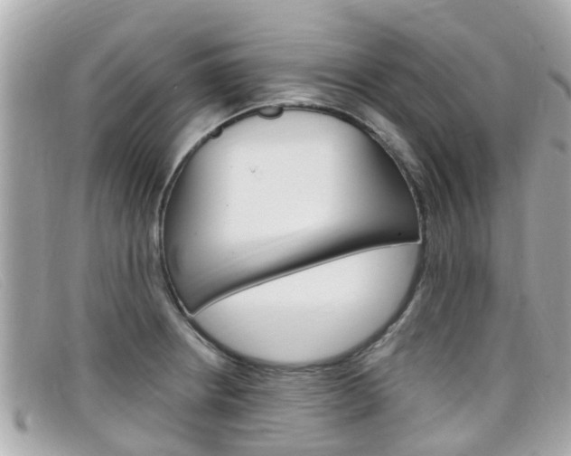 X0000099321234200805020746