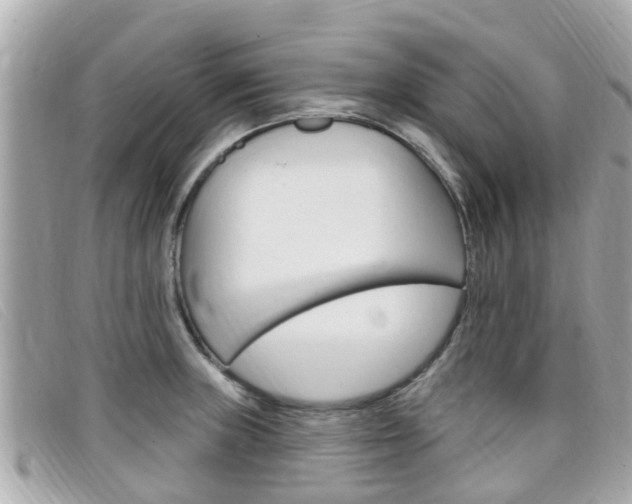 X0000099321235200805020746
