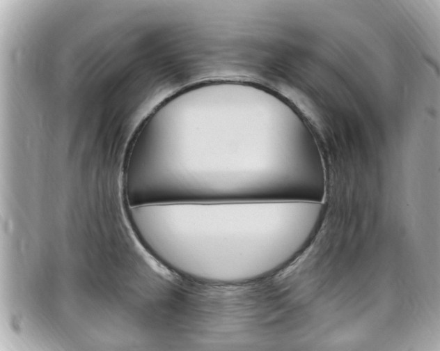 X0000099321237200805020746
