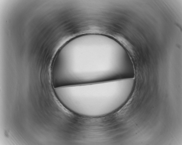 X0000099321238200805020746