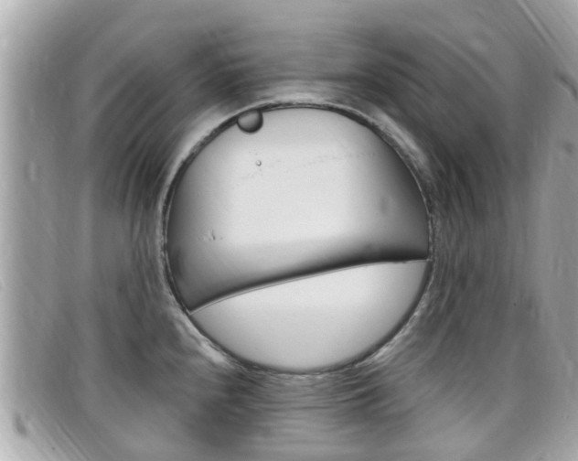X0000099321240200805020746