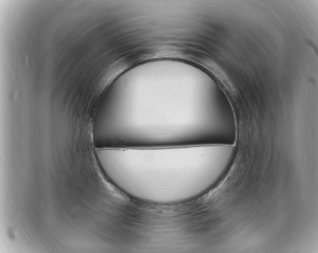 X0000099321241200805020746