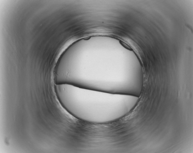 X0000099321243200805020746
