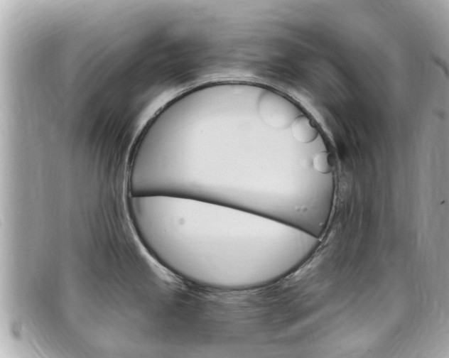 X0000099321245200805020746