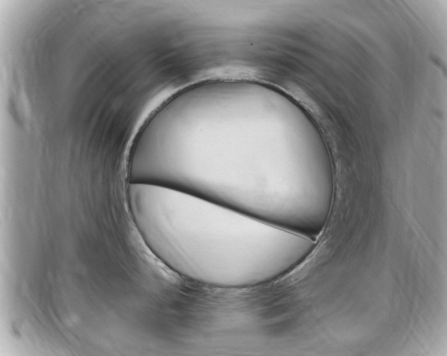 X0000099321248200805020746