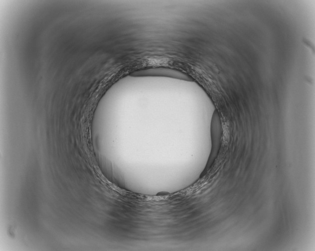 X0000099321249200805020746