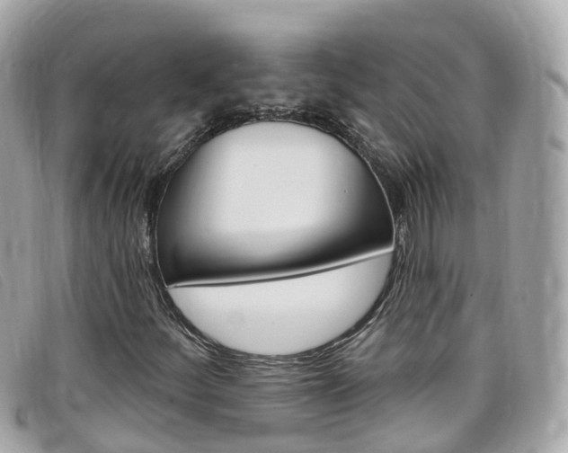 X0000099321252200805020746