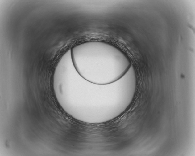 X0000099321253200805020746
