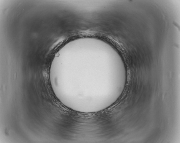 X0000099321254200805020746