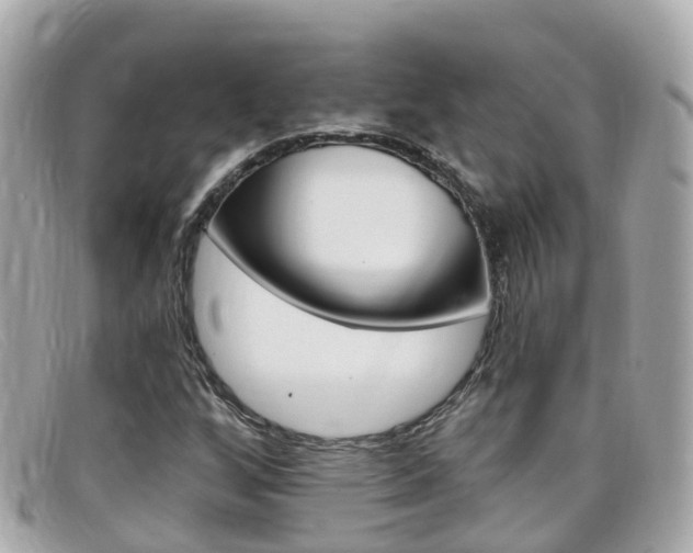 X0000099321256200805020746