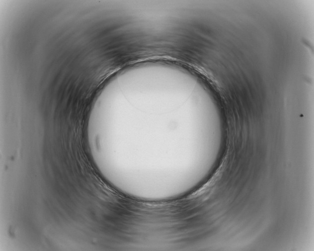 X0000099321257200805020746