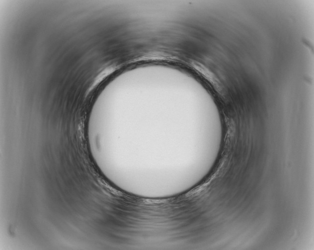 X0000099321258200805020746