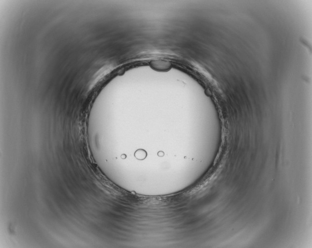 X0000099321259200805020746