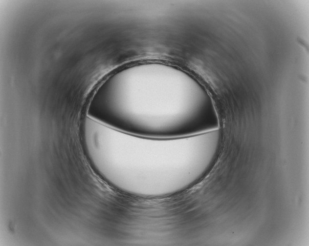 X0000099321260200805020746
