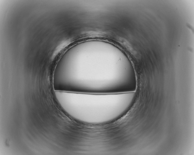 X0000099321261200805020745