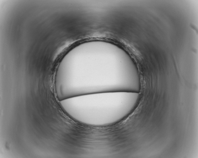 X0000099321262200805020745