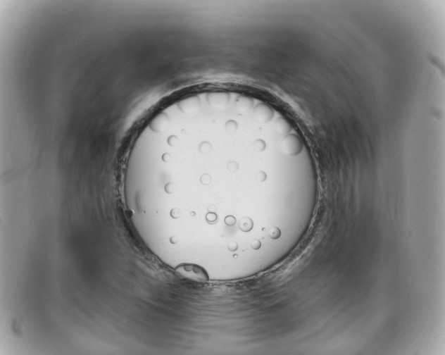X0000099321263200805020745