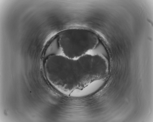X0000099321267200805020745