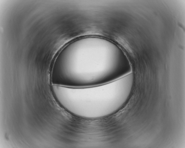 X0000099321268200805020745