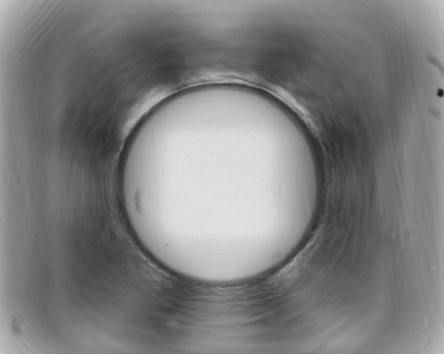 X0000099321269200805020745