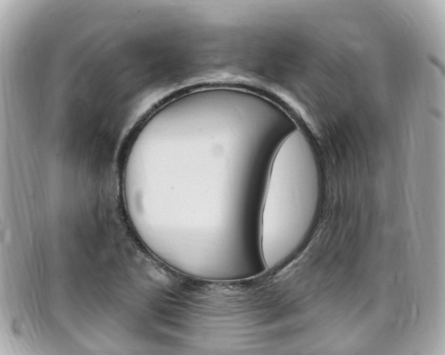 X0000099321270200805020745