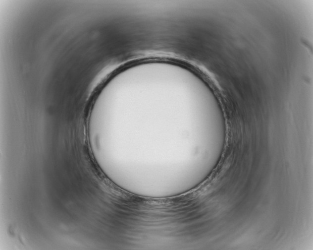 X0000099321271200805020745