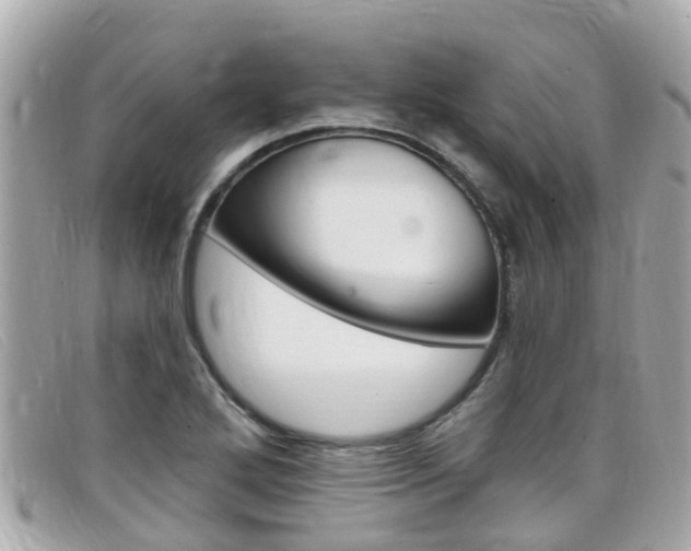 X0000099321272200805020745