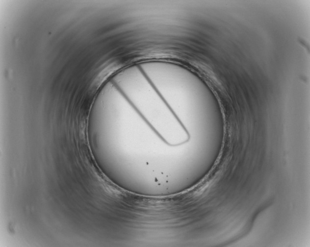 X0000099321273200805020745