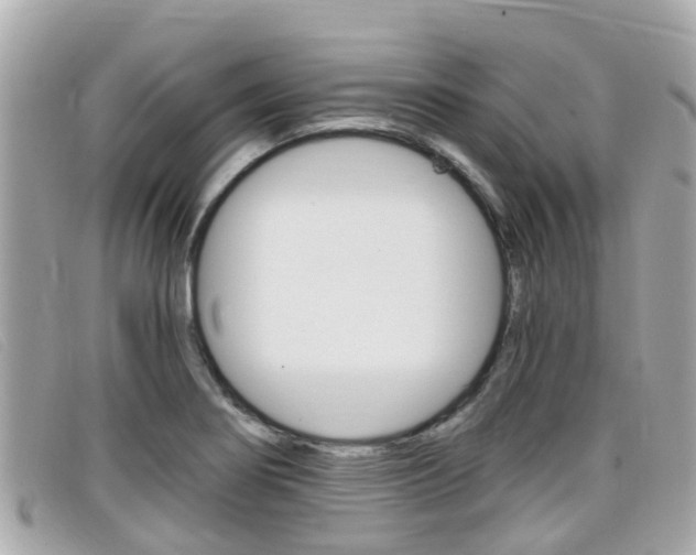 X0000099321274200805020745