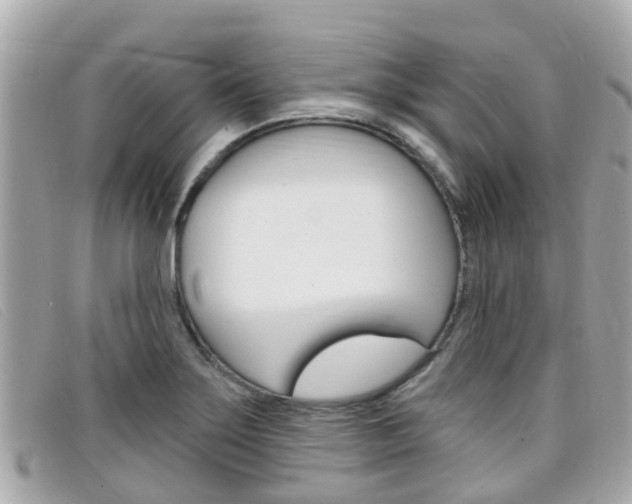 X0000099321275200805020745