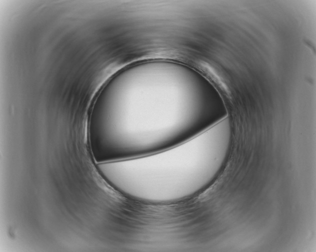 X0000099321276200805020745