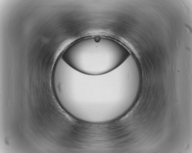 X0000099321277200805020745