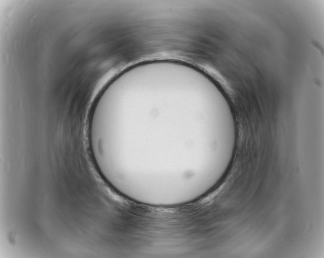 X0000099321278200805020745