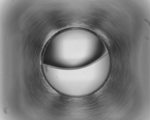 X0000099321280200805020745