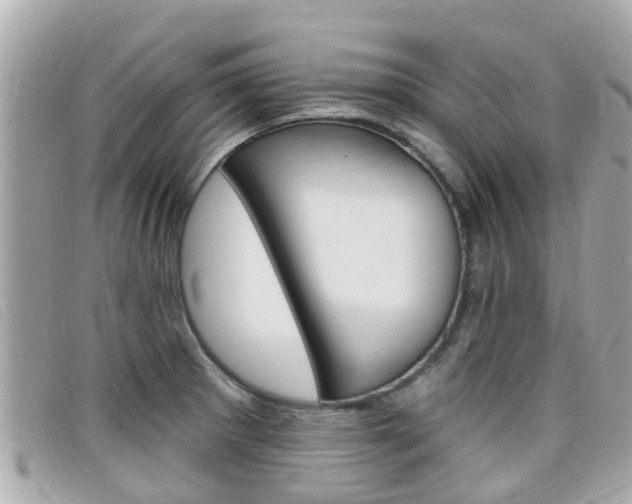 X0000099321281200805020745