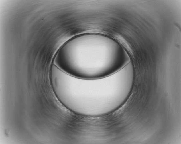 X0000099321284200805020745