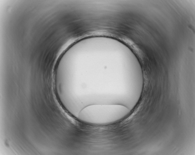 X0000099321286200805020745