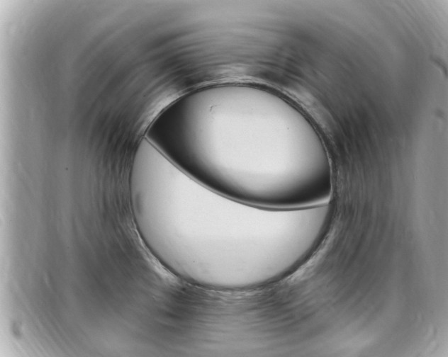 X0000099321289200805020745