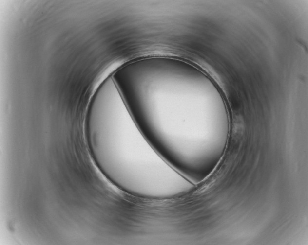 X0000099321293200805020745