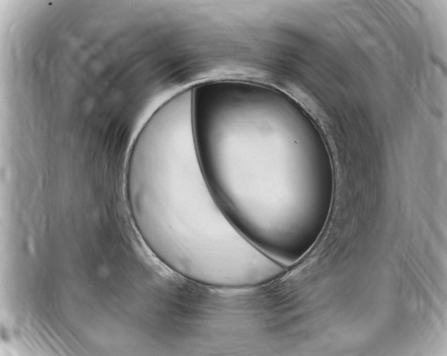 X0000099321296200805020745