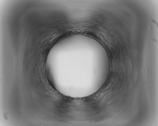 X0000099321297200805020744