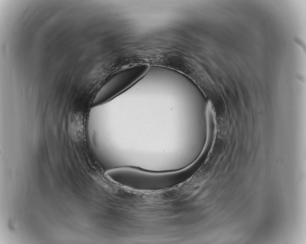 X0000099321298200805020744