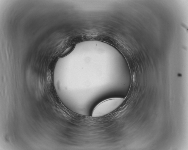 X0000099321299200805020744
