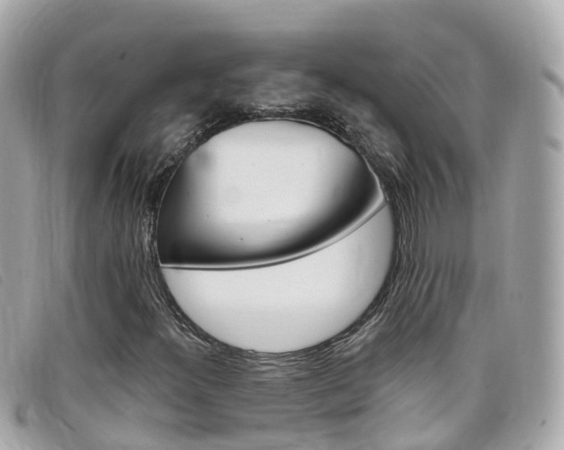 X0000099321300200805020744