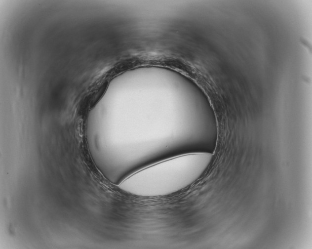 X0000099321301200805020744