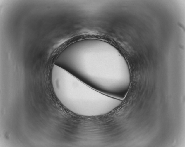 X0000099321303200805020744