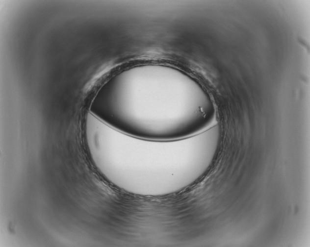 X0000099321304200805020744