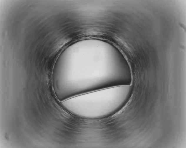 X0000099321305200805020744